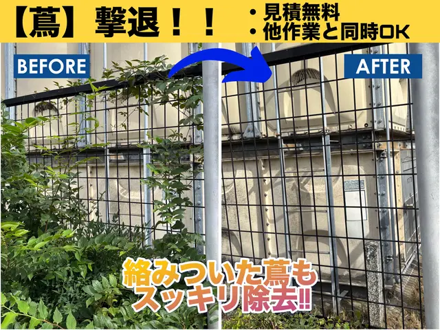 建物や塀に絡んだ蔦、スッキリ除去します!! 女性スタッフ在籍◎サービスの画像