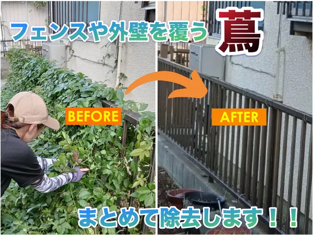 建物や塀に絡んだ蔦、スッキリ除去します!! 女性スタッフ在籍◎サービスの画像