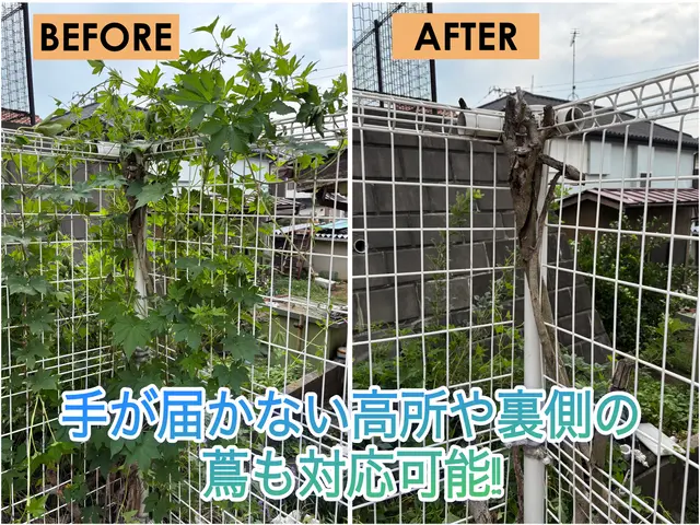 建物や塀に絡んだ蔦、スッキリ除去します!! 女性スタッフ在籍◎サービスの画像