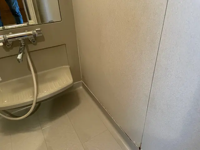 ☆丁寧なサービス★大手出身の経験と実績★お家丸ごとピカピカ☆ワックス塗布込み☆サービスの画像