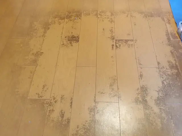 「フローリングの汚れが気になる」「ワックス掛けが面倒」そんな方にオススメ！サービスの画像