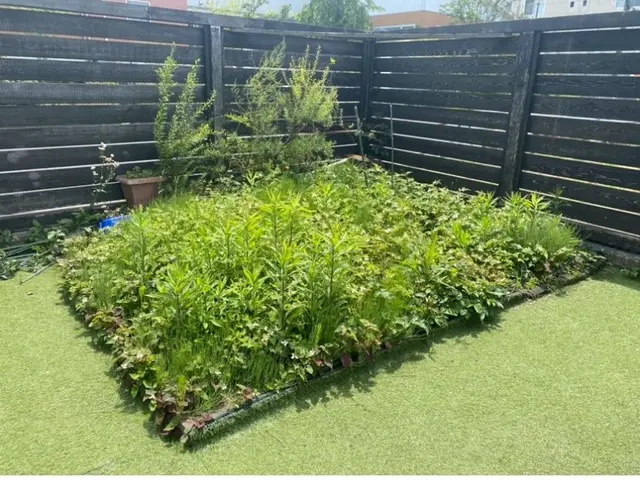 除草作業・雑草処理サービスの画像