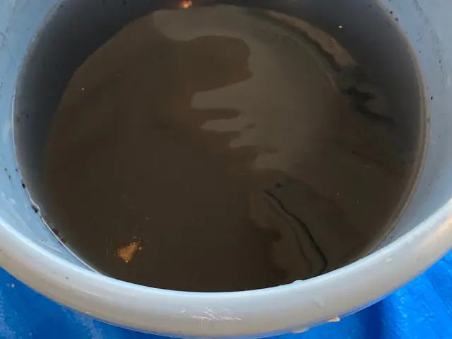 スピーディーでキレイに！お掃除機能付きでも低価格！駐車料金も頂いておりません！サービスの画像