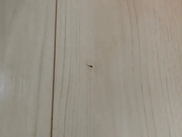 【写真で簡単お見積もり】フローリング・その他 補修 リペアサービスの画像