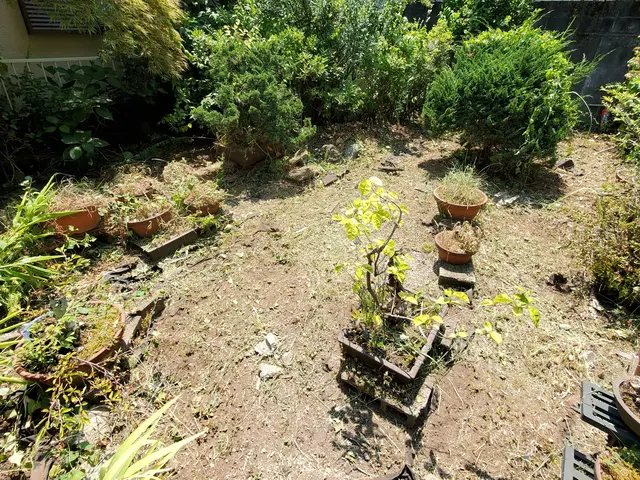 【見積無料】お庭の草刈り　お気軽にご相談くださいサービスの画像