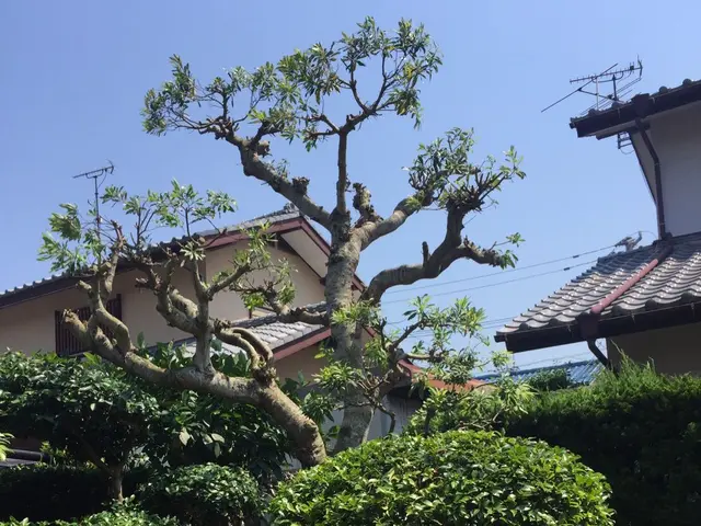 お客様の、ニーズに応えて！！！真心込めて誠心誠意努めます。サービスの画像