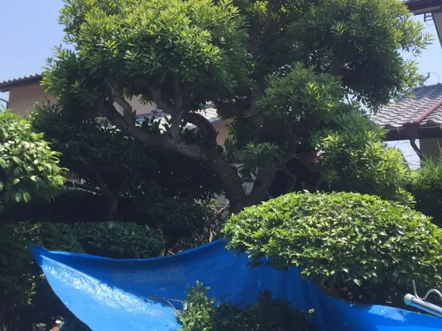 お客様の、ニーズに応えて！！！真心込めて誠心誠意努めます。サービスの画像