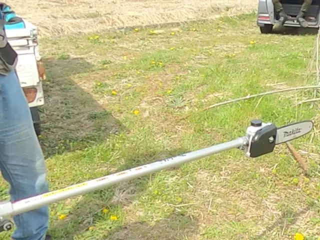 【4月出店】実績100件以上！お庭の悩みを解決します！サービスの画像