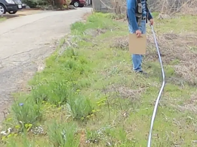 【4月出店】実績100件以上！お庭の悩みを解決します！サービスの画像