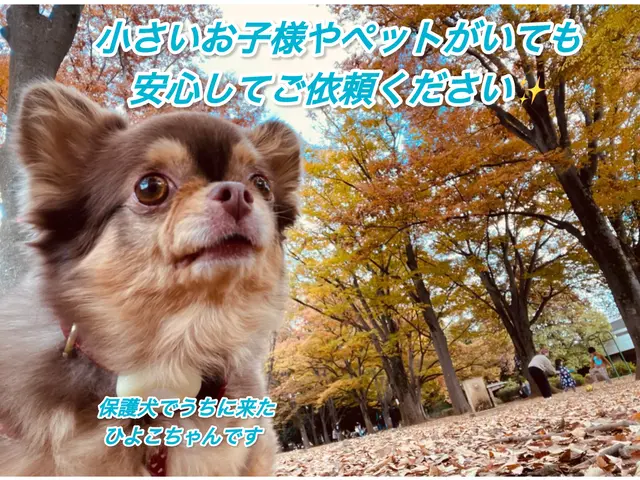 1月13.15.16日空きあり◆駐車場代なし◆前日・当日予約お問い合わせ下さいサービスの画像