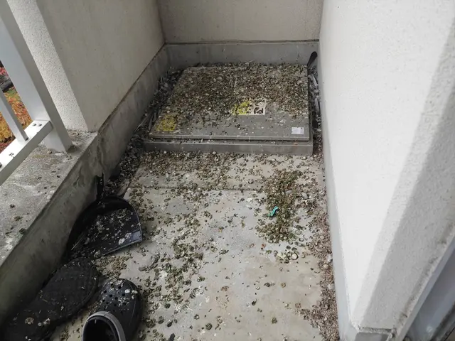 鳩の巣駆除サービスの画像
