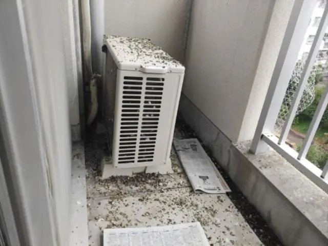 鳩の巣駆除サービスの画像