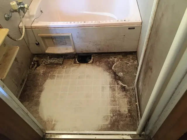 【11/3〜予約可】年末混み合う前にお得な2点セットをお試しください！サービスの画像