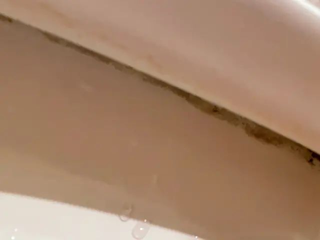 【女性も安心！多くのお客様に支えて頂き20年以上】☆よみがえるトイレで幸運を☆サービスの画像