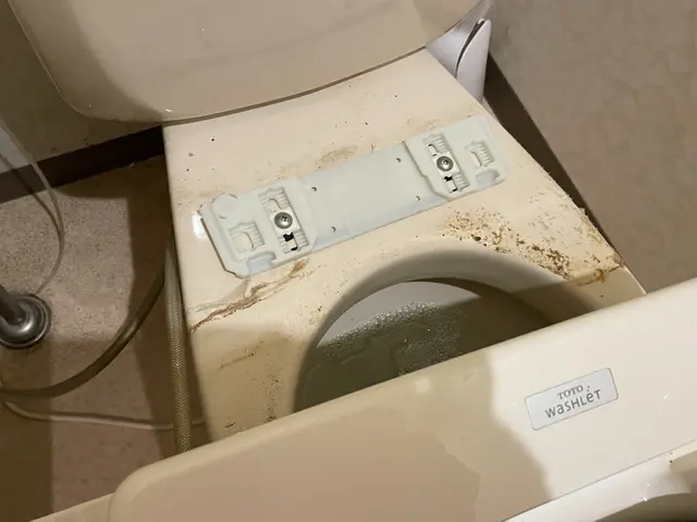 【女性も安心！多くのお客様に支えて頂き20年以上】☆よみがえるトイレで幸運を☆サービスの画像