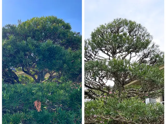 庭に光を、暮らしに心地よさを。リーズナブルでお客様にご納得いただける満足感☆サービスの画像