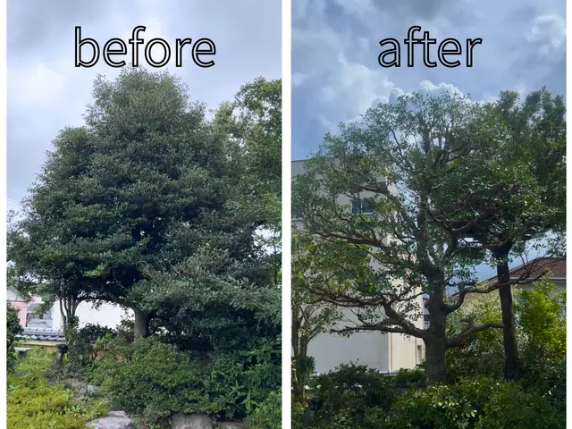 庭に光を、暮らしに心地よさを。リーズナブルでお客様にご納得いただける満足感☆サービスの画像