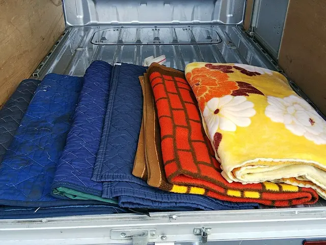 軽貨物運送業VIPLINE単身引っ越しでお困り事あれば即日対応可能（要相談）サービスの画像