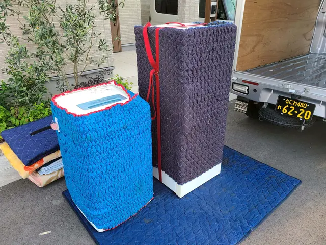 軽貨物運送業VIPLINE単身引っ越しでお困り事あれば即日対応可能（要相談）サービスの画像