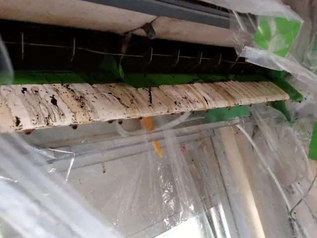 壁掛けタイプエアコン分解クリーニング・防カビ仕上げ【防カビコートサービス中】サービスの画像