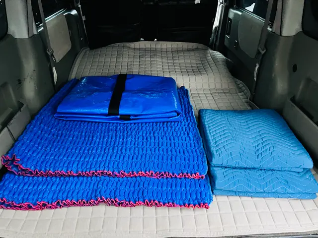 ★引越し革命★単身特化！当日対応もOKな丁寧・格安引越しサービスサービスの画像