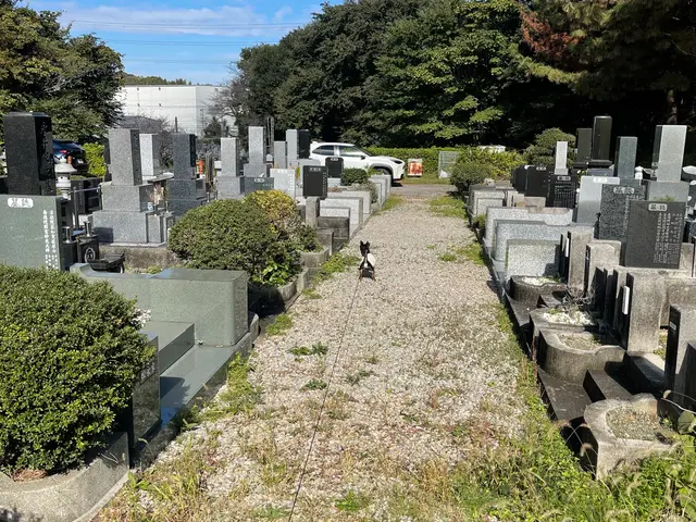 ［お墓参り　お墓掃除　お墓見回り代行］大切なお墓を綺麗にします！サービスの画像