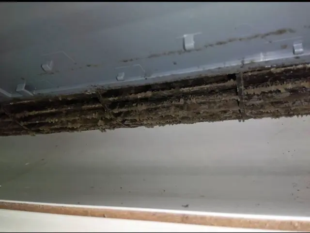 エアコンクリーニング！綺麗な空気で、過ごしましょう！サービスの画像