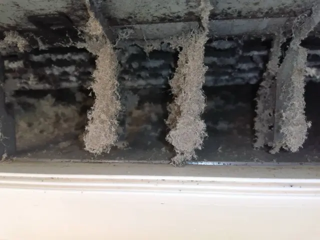 エアコンクリーニング！綺麗な空気で、温まりましょう！サービスの画像