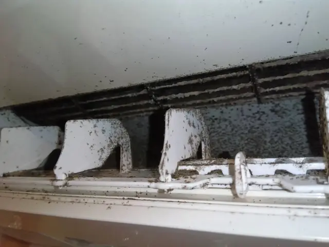 エアコンクリーニング！綺麗な空気で、温まりましょう！サービスの画像