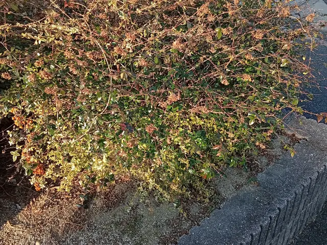 ハウスクリーニング士認定の自社スタッフが長期信頼関係を築きますサービスの画像