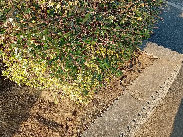 ハウスクリーニング士認定の自社スタッフが長期信頼関係を築きますサービスの画像