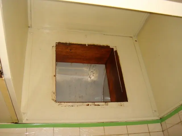 【枚方・交野 メイン】分解洗浄でスッキリきれいに！油汚れも分解します！サービスの画像