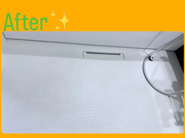 管理会社様必見！ペットのニオイや汚れもスッキリ！燻煙剤使用の害虫駆除も対応可能！サービスの画像