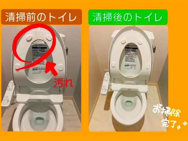 管理会社様必見！ペットのニオイや汚れもスッキリ！燻煙剤使用の害虫駆除も対応可能！サービスの画像