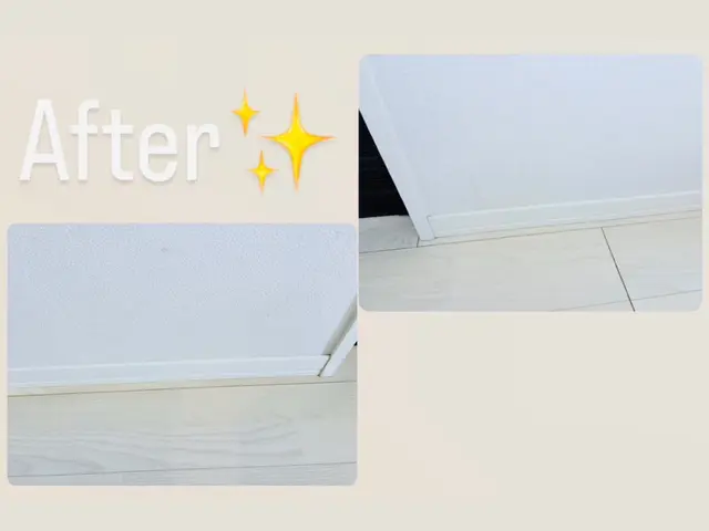 管理会社様必見！ペットのニオイや汚れもスッキリ！燻煙剤使用の害虫駆除も対応可能！サービスの画像