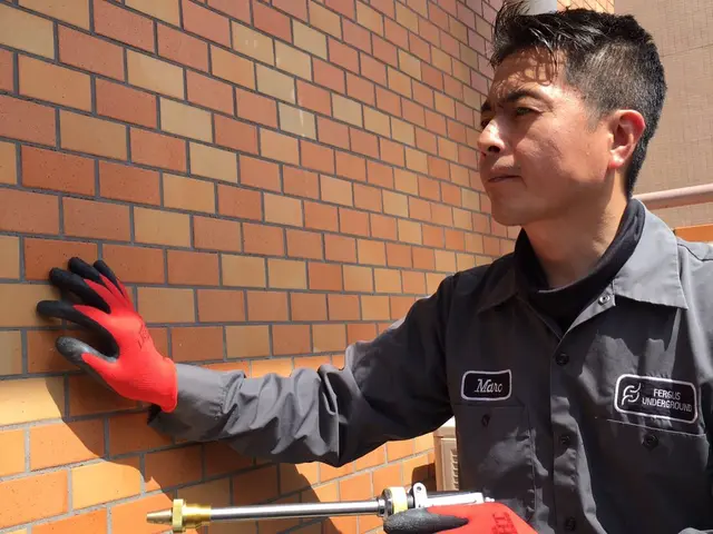 【多摩限定：即日・翌日ご相談ください】年内再発保証も忌避剤噴霧も料金内！カード可サービスの画像