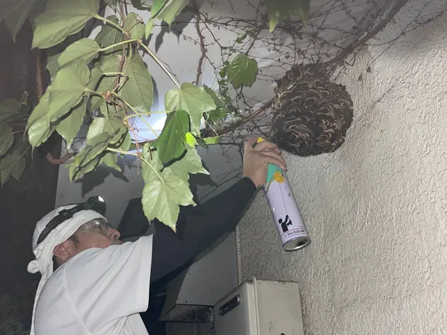 【多摩限定：即日・翌日ご相談ください】年内再発保証も忌避剤噴霧も料金内！カード可サービスの画像