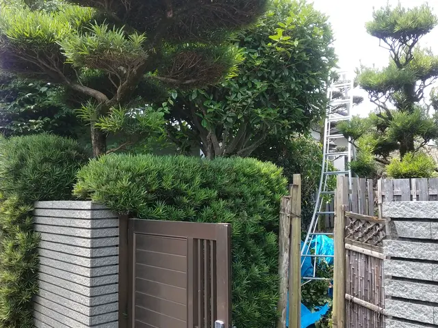 【職人歴30年の2代目】土日祝もご予約大歓迎！春～秋、消毒も致します。植栽も可。サービスの画像