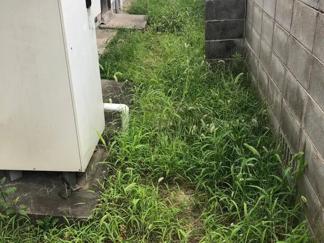 【年中無休で対応しております◎】業界30年の経験あり！店長の私が対応いたします！サービスの画像