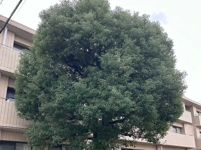 【女性スタッフ同行OK】損害保険加入済みで安心◎対応地域外もご相談OK◎サービスの画像