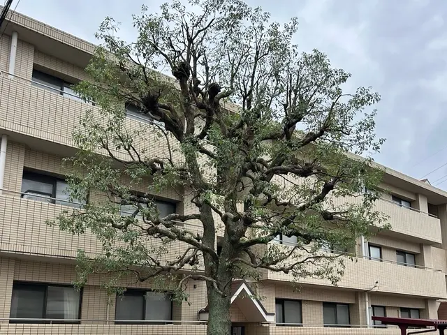 【女性スタッフ同行OK】損害保険加入済みで安心◎対応地域外もご相談OK◎サービスの画像