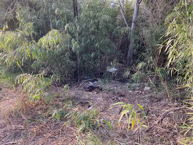 ◆岐阜市発◆便利屋本舗岐阜店年中無休・土日祝もご予約大歓迎！営業時間外も対応OKサービスの画像