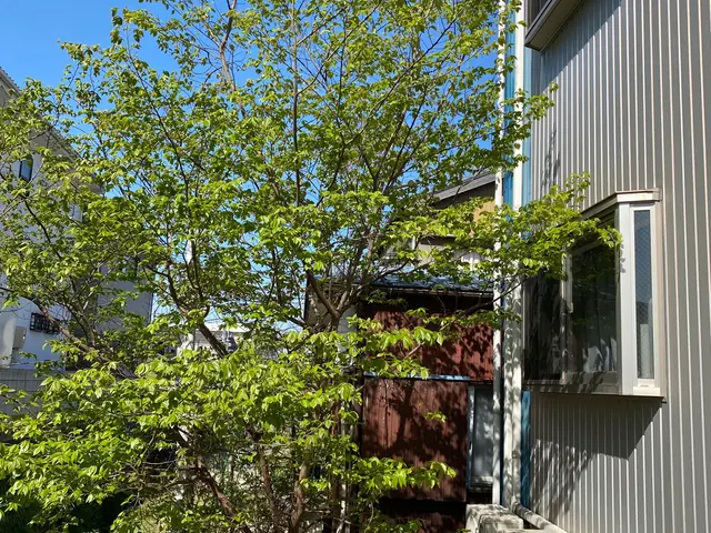 ◆岐阜市発◆便利屋本舗岐阜店年中無休・土日祝もご予約大歓迎！営業時間外も対応OKサービスの画像