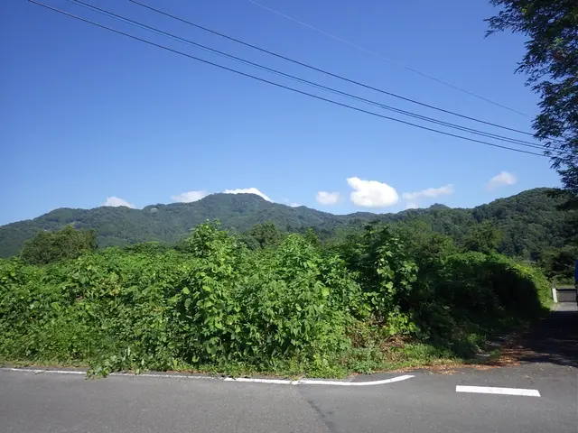 【秩父郡市中心】現地にお伺いしてご提案も致します！サービスの画像