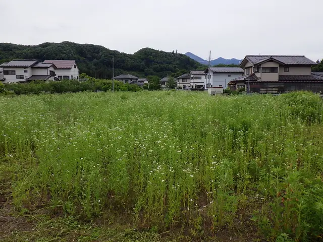 【秩父郡市中心】現地にお伺いしてご提案も致します！サービスの画像