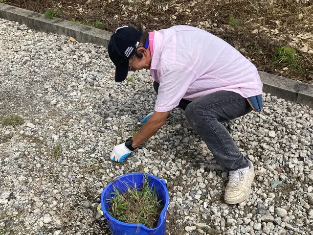 剪定 草取り 庭掃除 孫の手サービスサービスの画像