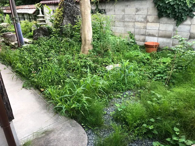 鳥取県西部で活動しています。お客様のご要望通りの仕上がりかしっかり確認します！サービスの画像