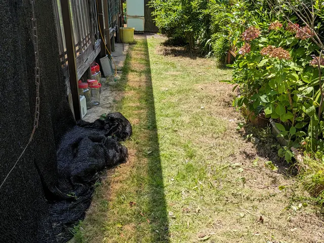 庭木の剪定・草むしり 承りますサービスの画像