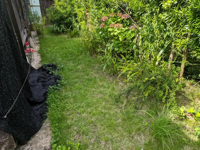 庭木の剪定・草むしり 承りますサービスの画像