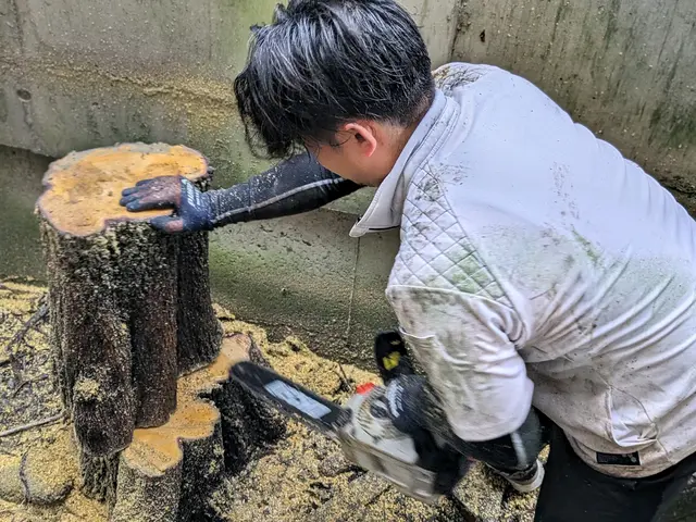 庭木の剪定・草むしり 承りますサービスの画像